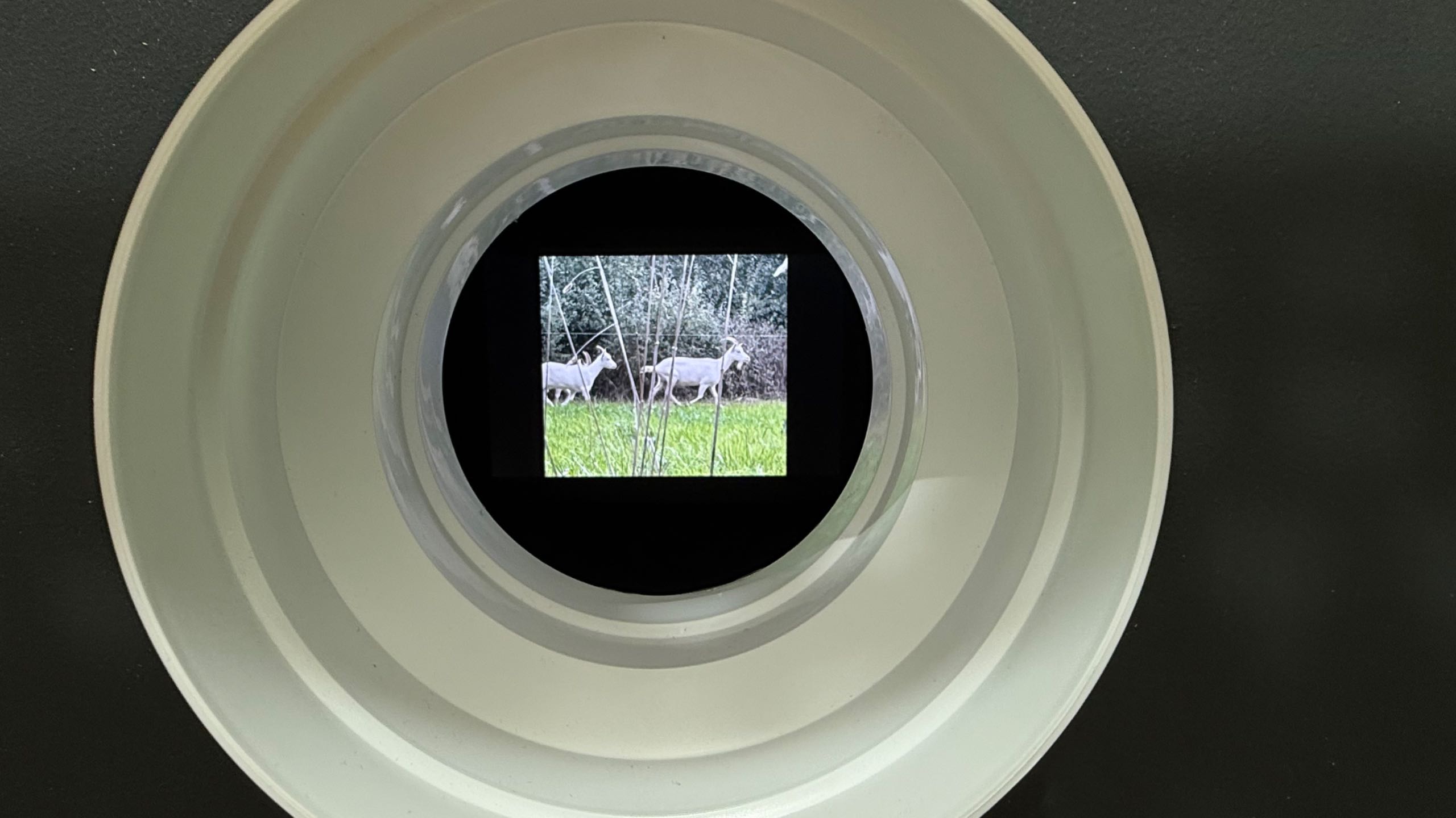 Boîtier circulaire oculaire — RJPI 2026